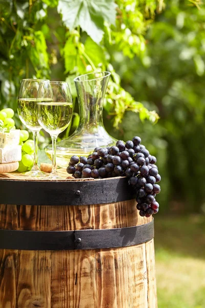 Grape White Wine Wooden Barrel Garden Terrace — Stock Photo, Image