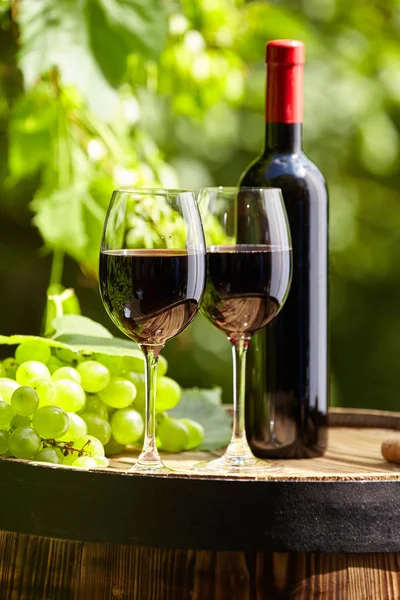 Tuscany Talya Üzüm Bağında Kırmızı Şarap — Stok fotoğraf