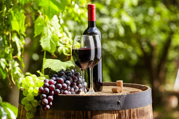 Rött Vin Med Fat Vingård Grön Toscana Italien — Stockfoto
