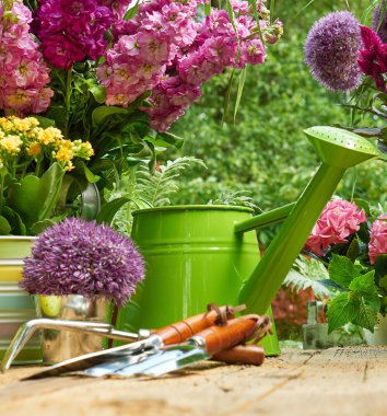 Araçları Bahçe ve çiçek dikimi