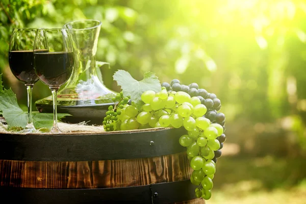 赤ワインのグラスと古い木樽 — ストック写真