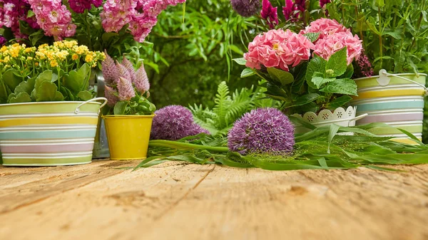 Gardening Tools Planting Flower — Stock Photo, Image
