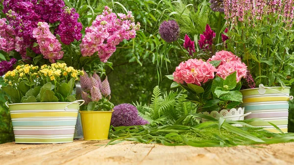 Gardening Tools Planting Flower — Stock Photo, Image