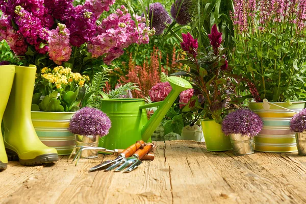 Zahradní Nářadí Výsadba Květin — Stock fotografie