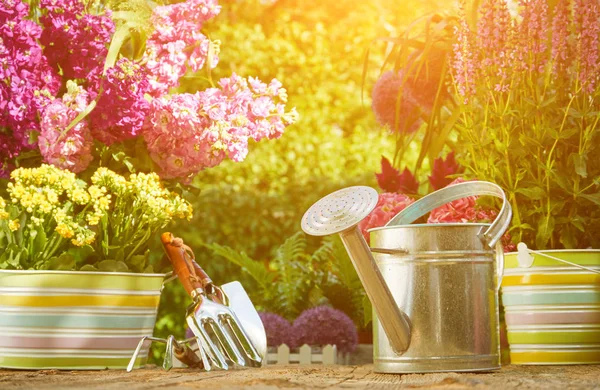 Gartengeräte Und Pflanzblumen — Stockfoto