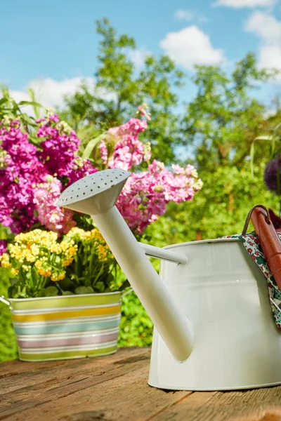 Gartengeräte Und Pflanzblumen — Stockfoto