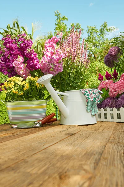 Gardening Tools Planting Flower — Stock Photo, Image