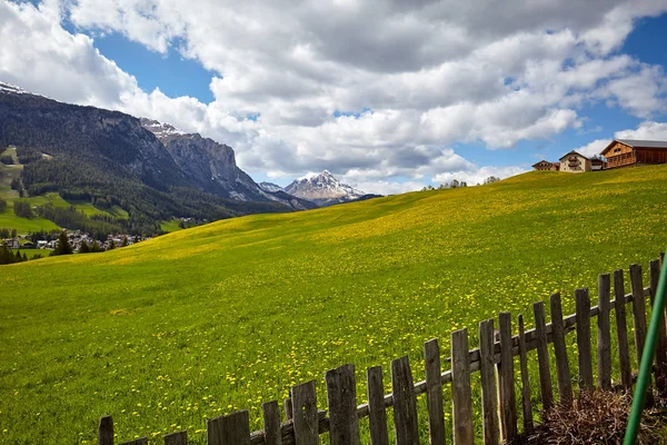 Paesaggio Idilliaco Nelle Alpi Con Prati Verdi Freschi Fiori Fioriti — Foto Stock