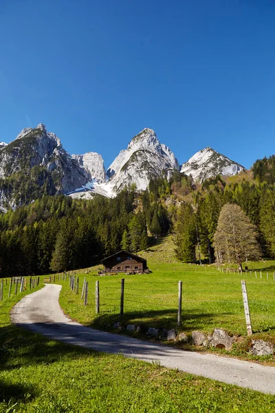 Alpler Yaz Fransız Dağlar Yeşil Tepeler — Stok fotoğraf