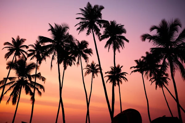 Tropic Toegangscode Van Prachtige Koraal Zonsondergang — Stockfoto