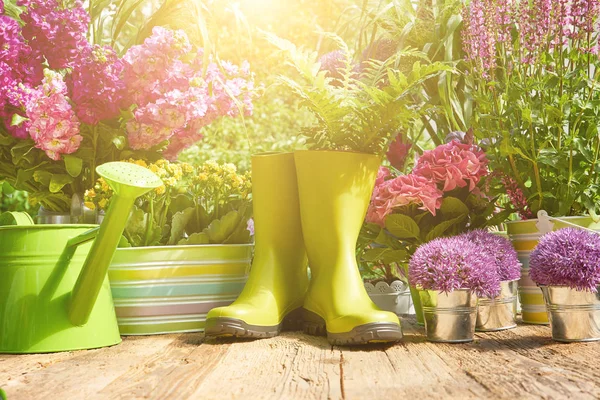 Gardening Tools Flowers Terrace Garden — Stock Photo, Image