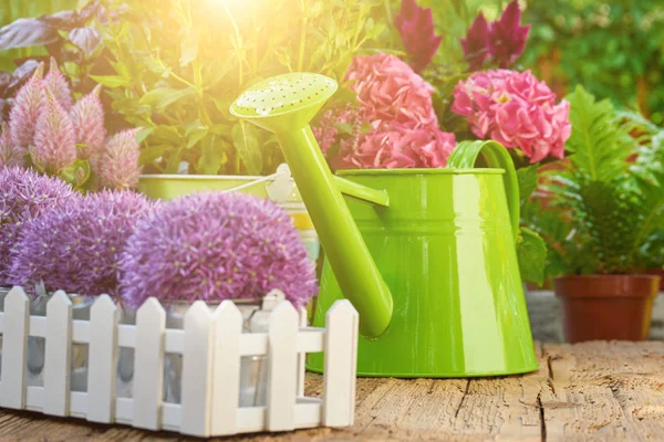 Trädgårdsredskap Och Blommor Terrassen Trädgården — Stockfoto