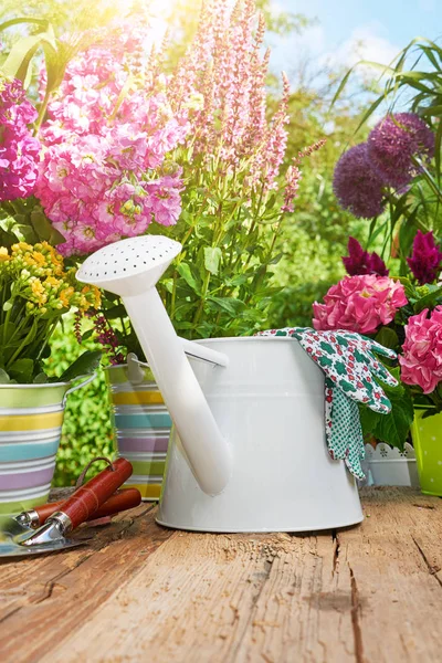 Attrezzi Giardinaggio Fiori Sulla Terrazza Giardino — Foto Stock