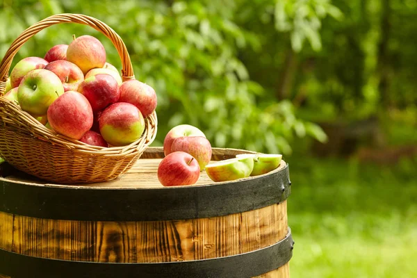 Äpfel Auf Gartenhintergrund Auf Der Alten Tonne — Stockfoto