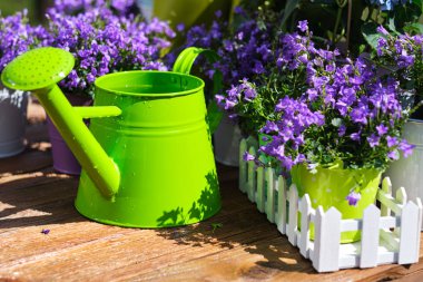 Bahar bahçe, bitki, araçlar, çiçekler