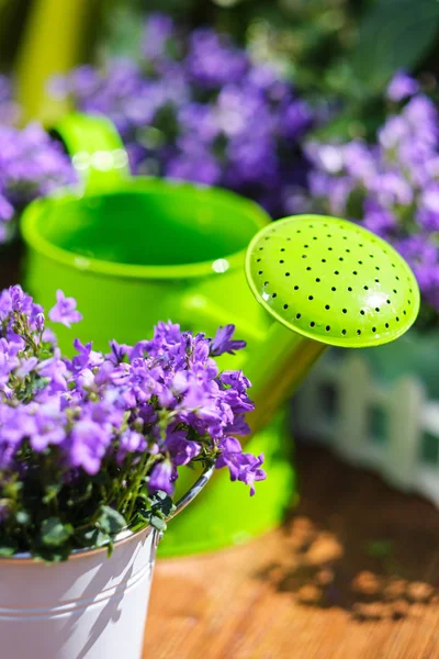Våren Trädgårdsskötsel, växt, verktyg, blommor — Stockfoto