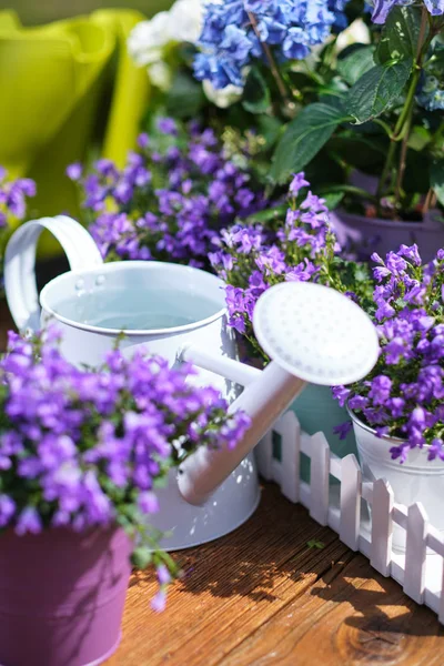 Jardinería de primavera, planta, herramientas, flores — Foto de Stock