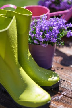 Araçlar ve bahar çiçekleri bahçedeki terasta Bahçe Bahçe 