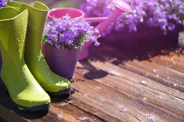 Attrezzi da giardinaggio e fiori primaverili sulla terrazza in giardino — Foto Stock