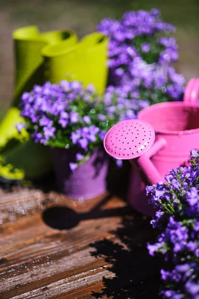 Herramientas de jardinería y flores de primavera en la terraza en el jardín — Foto de Stock