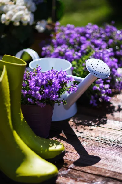 Gardening tools and spring flowers on the terrace in the garden — Stock Photo, Image