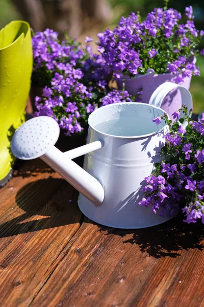 Gardening tools and spring flowers on the terrace in the garden — Stock Photo, Image