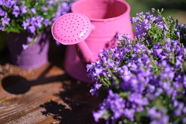 Trädgårdsskötsel verktyg och vårblommor på terrassen i trädgården — Stockfoto