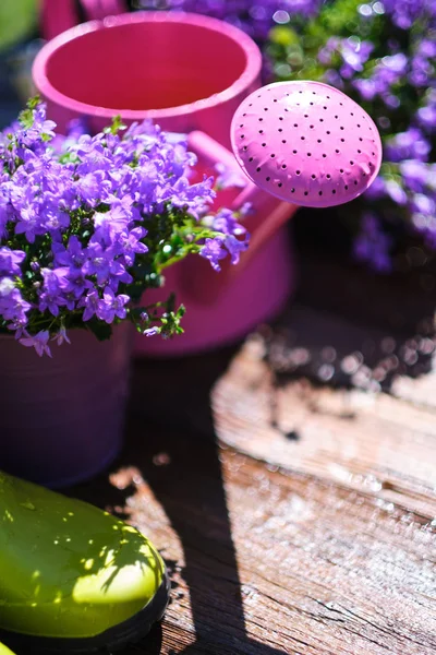 Herramientas de jardinería y flores de primavera en la terraza en el jardín —  Fotos de Stock