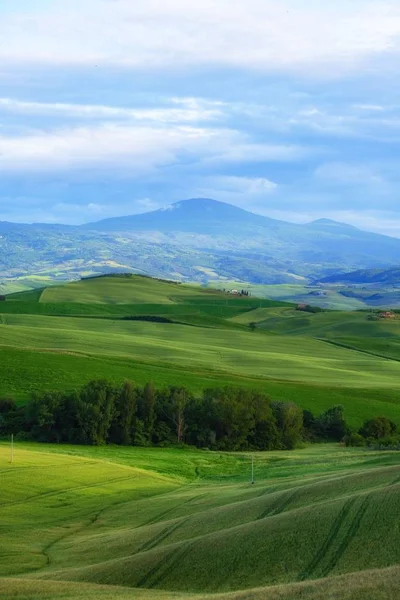 Poranne złote wzgórza Toskanii. Włochy — Zdjęcie stockowe