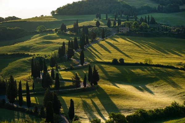 Morgon gyllene Toscana kullar. Italien — Stockfoto