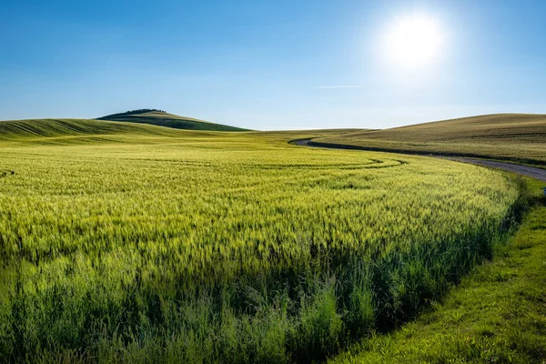 Vidéki Olaszország a Toszkána régióban — Stock Fotó