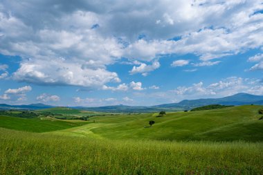 Tepeler, vadiler, güneşli alanlar, sarma kırsal yol boyunca selvi ağaçları, bir tepe üzerinde evler ile Pitoresk Toskana manzara. Toskana'da turist ziyareti 