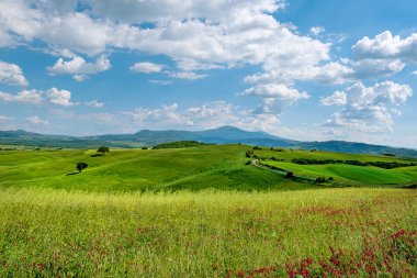 Tepeler, vadiler, güneşli alanlar, sarma kırsal yol boyunca selvi ağaçları, bir tepe üzerinde evler ile Pitoresk Toskana manzara. Toskana'da turist ziyareti 