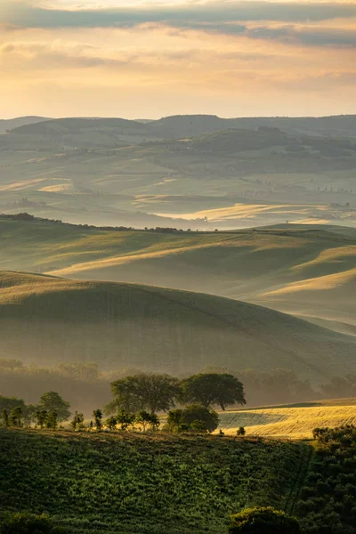 Gün Doğumunda Toskana Manzarası Bölge Toskana Çiftliği Için Tipik — Stok fotoğraf