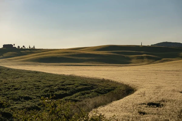 Paisagem Toscana Nascer Sol Típico Para Região Fazenda Toscana — Fotografia de Stock
