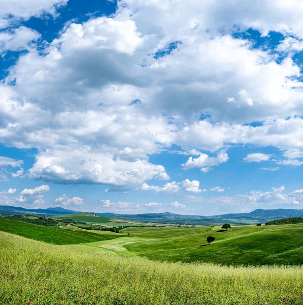 Paysage Toscan Lever Soleil Typique Pour Ferme Toscane Région — Photo