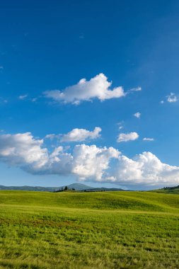 Tepeler, yeşil ağaçlar ve evler ile Tipik Toskana manzara, Bu
