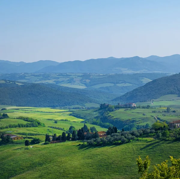 Typiskt Toscana landskap med kullar, gröna träd och hus, det — Stockfoto