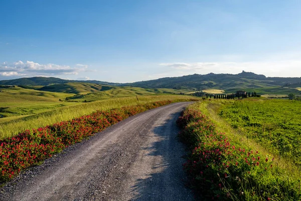 Typical Tuscany landscape with hills, green trees and houses, It — Stock Photo, Image