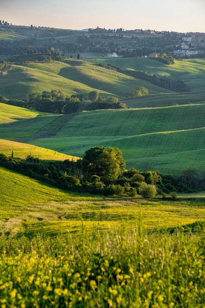 Tipico paesaggio toscano con colline, alberi verdi e case, E — Foto Stock