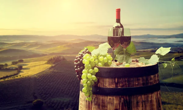 Vino rosso con botte su vigneto nella verde Toscana. Italia — Foto Stock