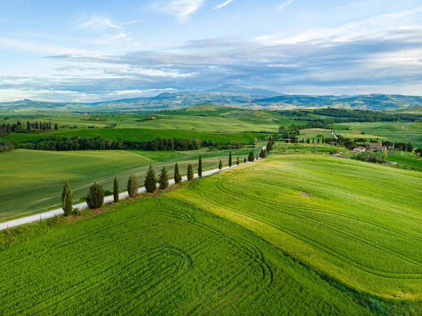 Typical landscape of the green Tuscany, Italy. Aerial view.