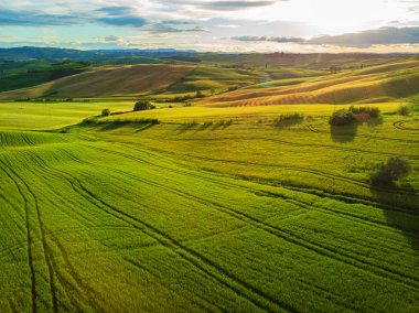 Toskana Val d'Orcia tipik manzara, İtalya. Havadan görünüm.