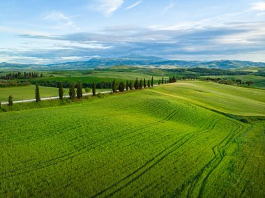 Toskana Val d'Orcia tipik manzara, İtalya. Havadan görünüm.