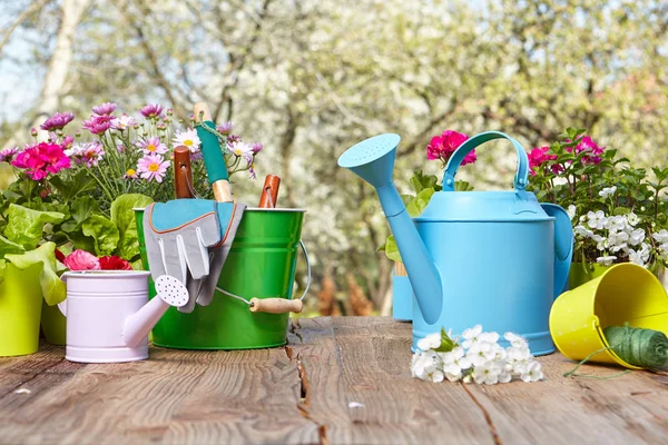 Outdoor gardening tools on old wood table — Stock Photo, Image