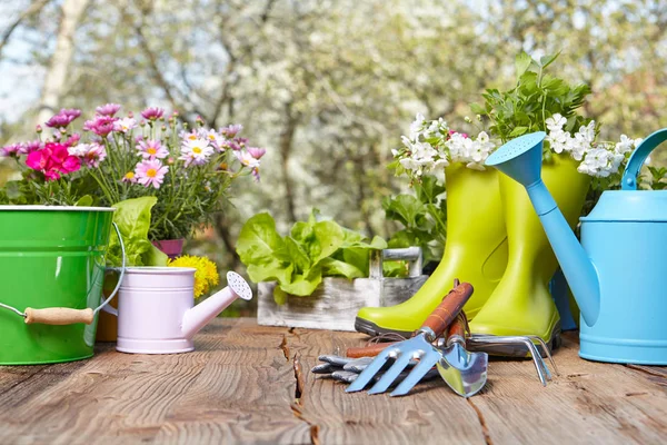 Herramientas de jardinería al aire libre en mesa de madera vieja —  Fotos de Stock