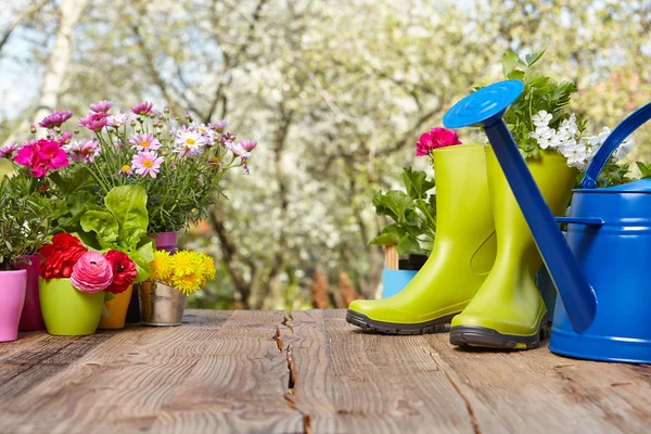 Outdoor gardening tools on old wood table — Stock Photo, Image