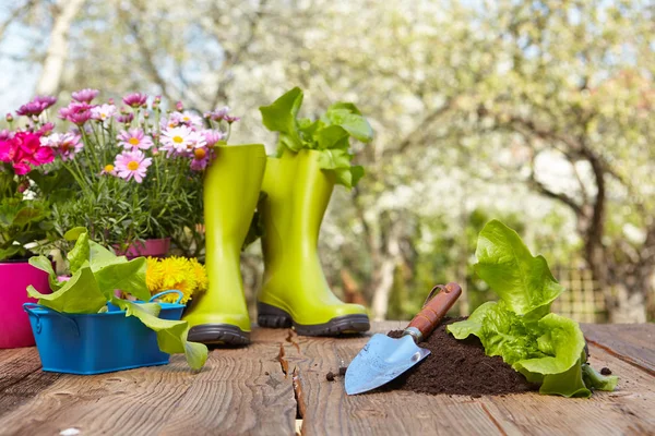 Ferramentas de jardinagem ao ar livre na mesa de madeira velha — Fotografia de Stock
