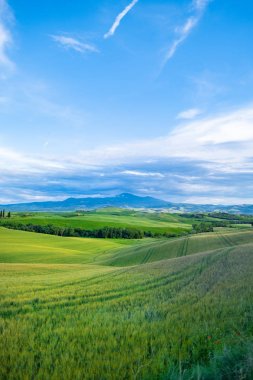 Toskana güzel aydınlatılmış manzara . yeşil tepeler