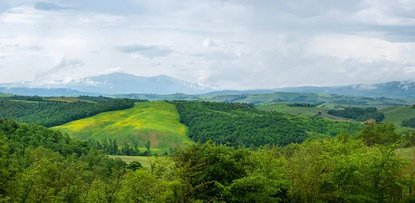 Lindamente Iluminada Paisagem Toscana Colinas Verdes — Fotografia de Stock